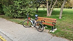 GCOHGY_20221011