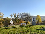IMG_20221017_090707.jpg