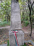 okt. névnap, szülinap 025