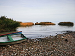 04_resize