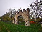 IMG_20221030_131302_resize