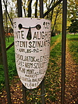 IMG_20221030_130603_resize