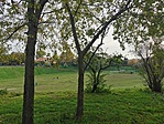 IMG_20221008_164343