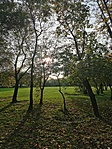IMG_20221008_164703