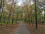 IMG_20221008_164757