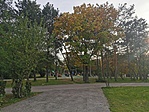 IMG_20221008_165111