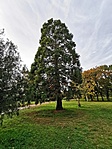 IMG_20221008_170457