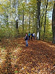 IMG_20221023_111832