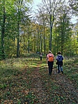 IMG_20221023_113703