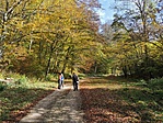 IMG_20221023_121616