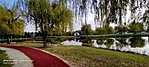 IMG20221024152833