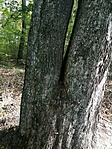 IMG_20221016_113117