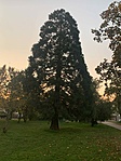 IMG_3200