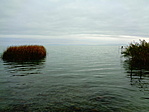 Balaton 