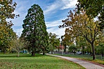 _DSC6167