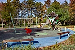 _DSC6164