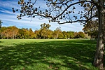 _DSC6163