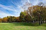 _DSC6157
