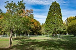 _DSC6170
