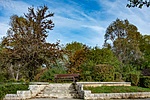 _DSC6165