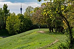_DSC6162
