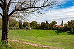 _DSC6161