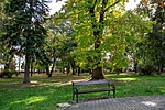 _DSC6151