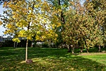 _DSC6149