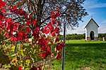 _DSC6104