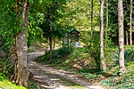 _DSC6014
