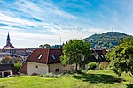 _DSC5901