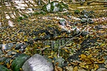 _DSC6226