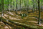_DSC6224