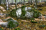 _DSC6228