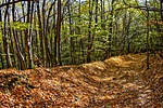 _DSC6221