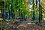 _DSC6217