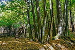 _DSC6233
