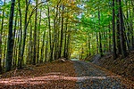 _DSC6245