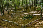 _DSC6234