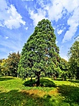 IMG_20221009_140724-EFFECTS