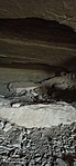 IMG_20221022_113748