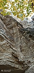 IMG_20221022_113939