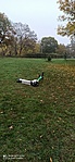 IMG_20221029_081134