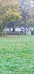 IMG_20221029_081219