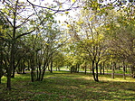 283_6980