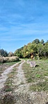 IMG_20221008_143851