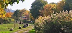 IMG_20221008_144509