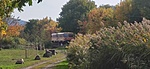 IMG_20221008_144512