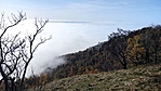IMG_20221030_124603