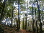 IMG_20221015_124033